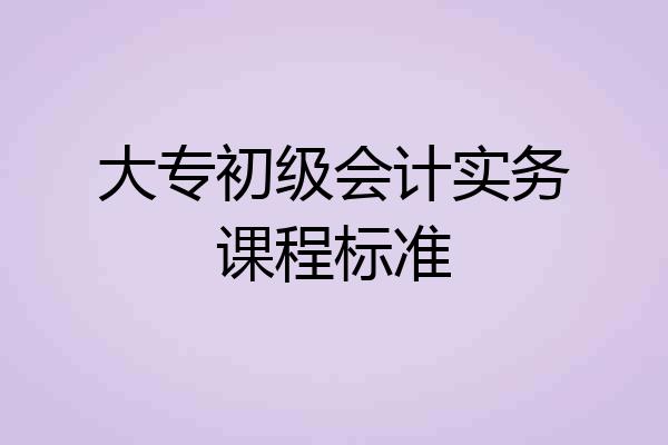大专初级会计实务课程标准