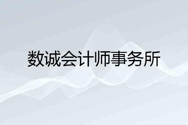 数诚会计师事务所