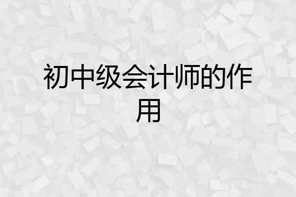 初中级会计师的作用