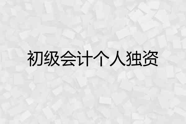 初级会计个人独资