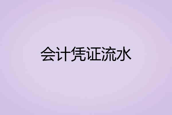 会计凭证流水