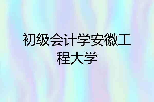 初级会计学安徽工程大学