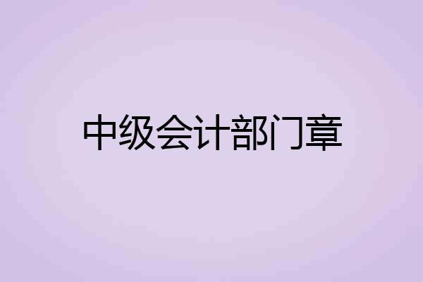 中级会计部门章