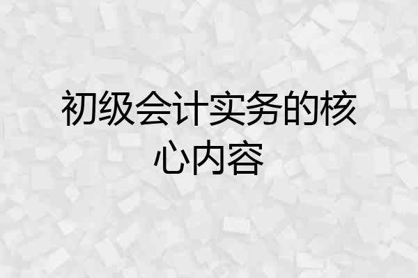 初级会计实务的核心内容