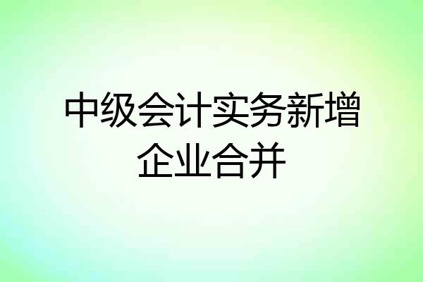 中级会计实务新增企业合并
