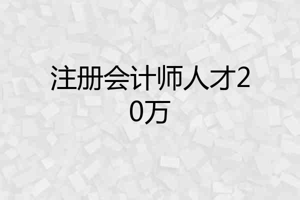注册会计师人才20万