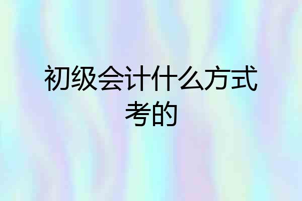 初级会计什么方式考的