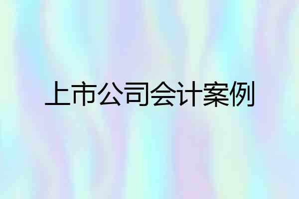 上市公司会计案例