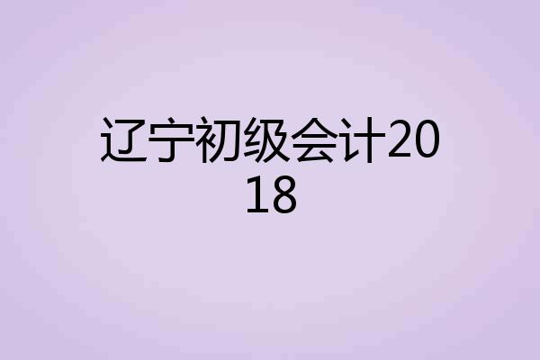 辽宁初级会计2018