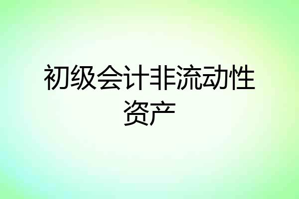初级会计非流动性资产