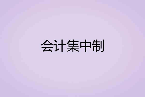 会计集中制