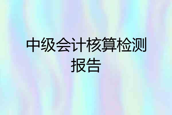 中级会计核算检测报告