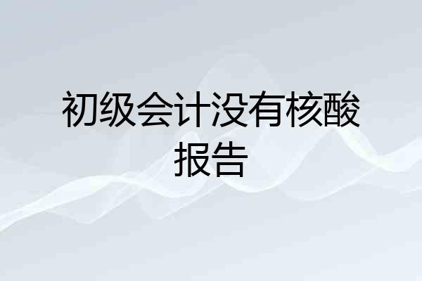 初级会计没有核酸报告