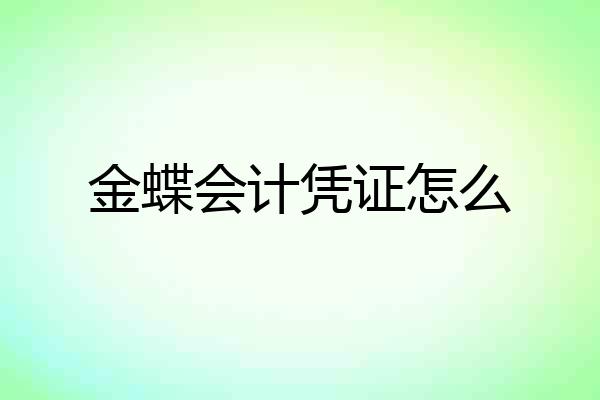 金蝶会计凭证怎么