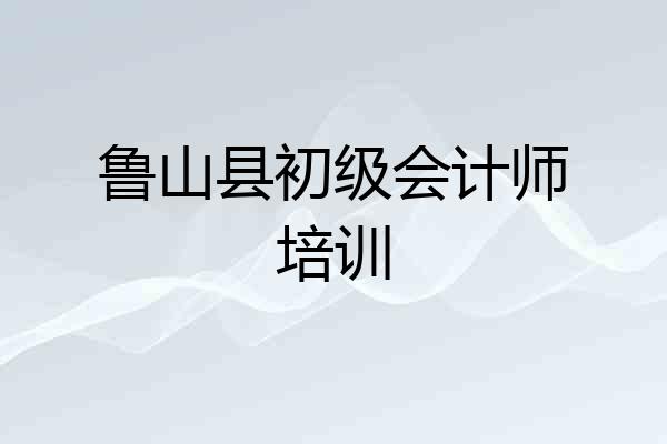 鲁山县初级会计师培训