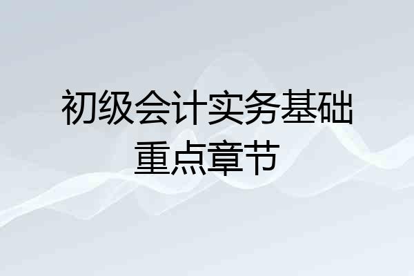 初级会计实务基础重点章节
