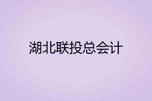 湖北联投总会计