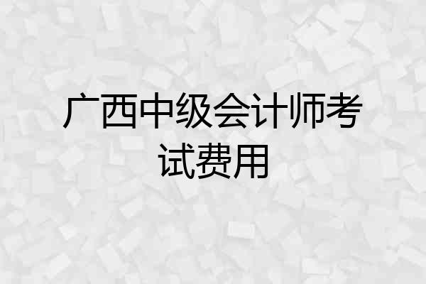 广西中级会计师考试费用
