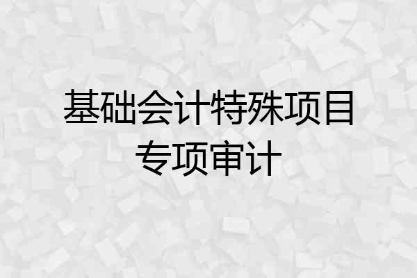 基础会计特殊项目专项审计