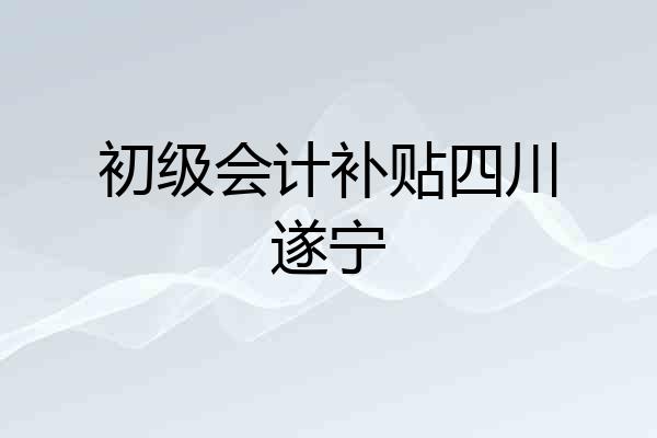初级会计补贴四川遂宁