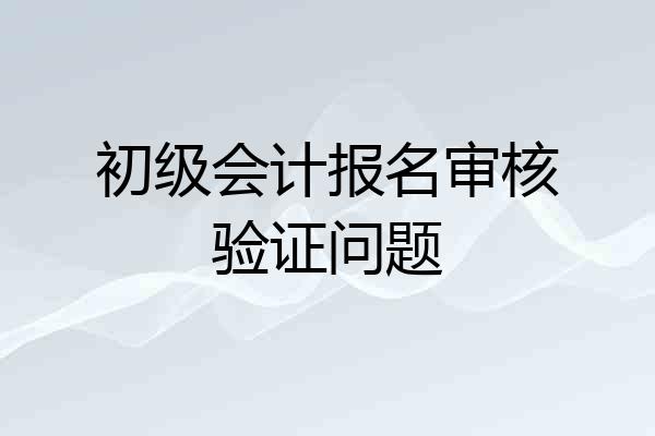 初级会计报名审核验证问题