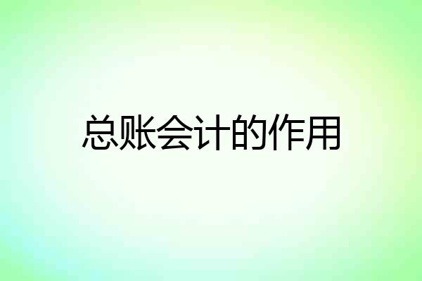 总账会计的作用