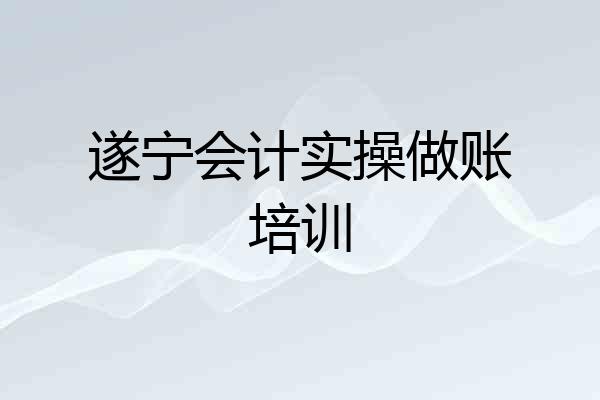 遂宁会计实操做账培训