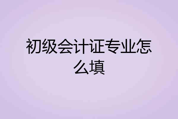 初级会计证专业怎么填