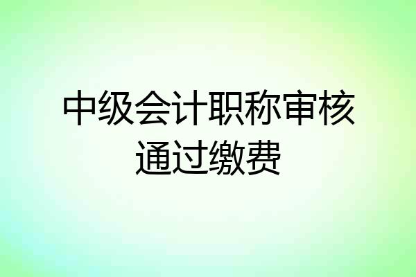 中级会计职称审核通过缴费