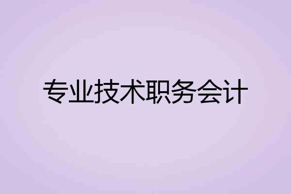 专业技术职务会计