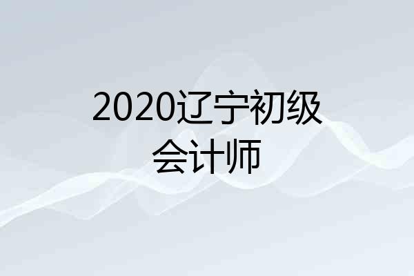 2020辽宁初级会计师