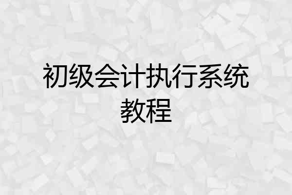 初级会计执行系统教程