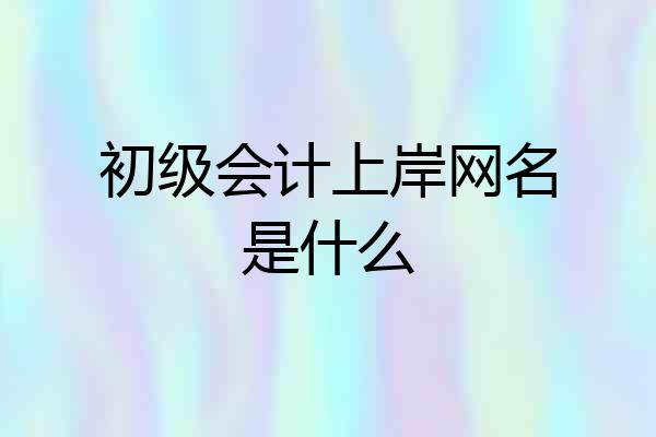 初级会计上岸网名是什么