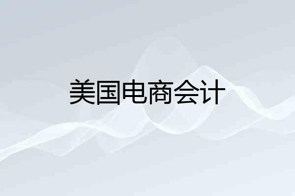 美国电商会计