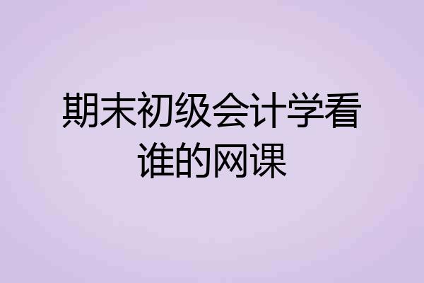 期末初级会计学看谁的网课