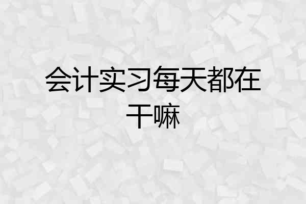 会计实习每天都在干嘛