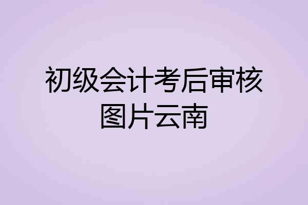 初级会计考后审核图片云南