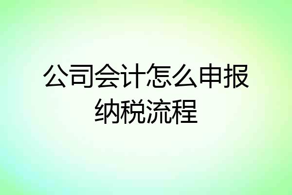 公司会计怎么申报纳税流程