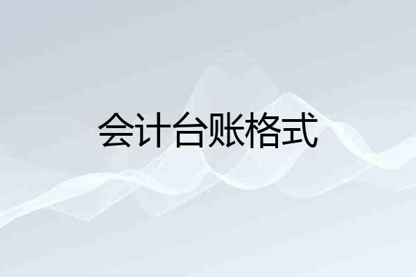 会计台账格式