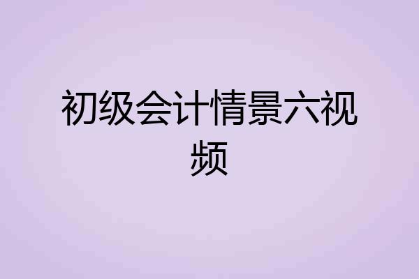 初级会计情景六视频