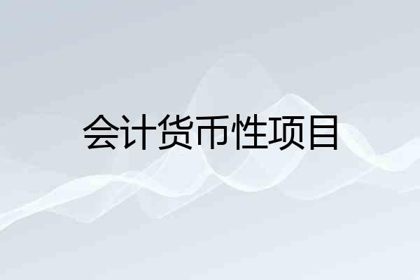 会计货币性项目
