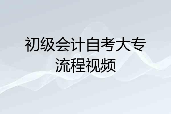 初级会计自考大专流程视频