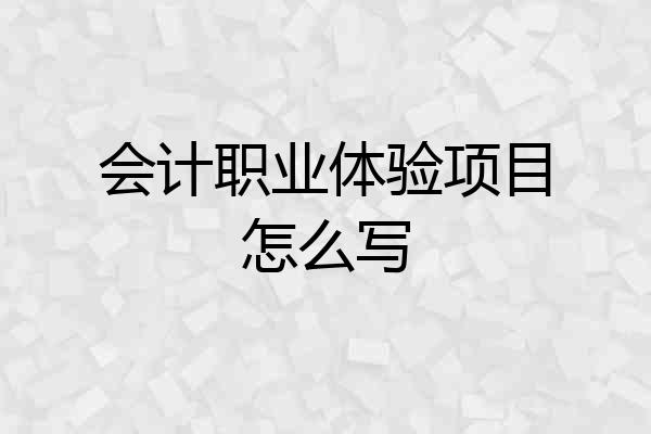 会计职业体验项目怎么写
