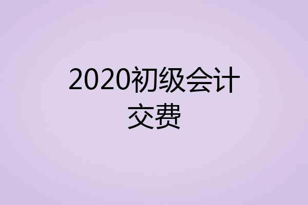 2020初级会计交费