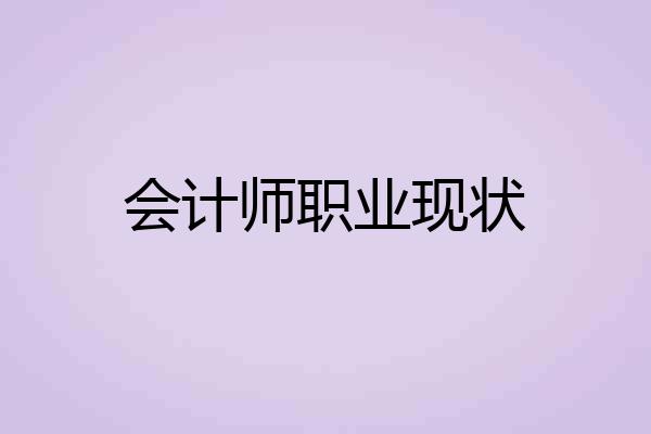 会计师职业现状