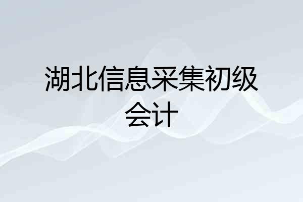 湖北信息采集初级会计