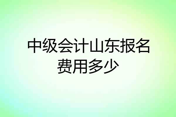 中级会计山东报名费用多少