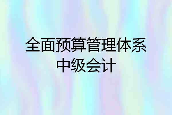 全面预算管理体系中级会计