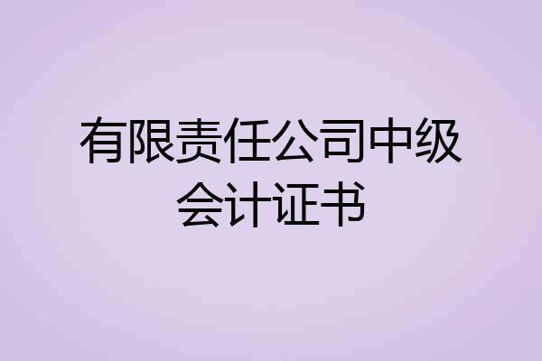 有限责任公司中级会计证书