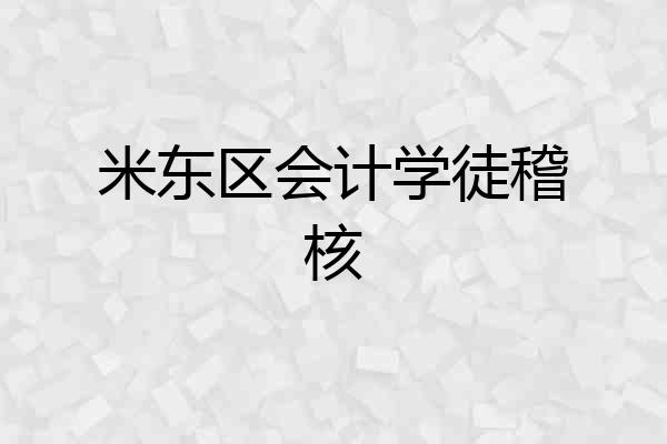 米东区会计学徒稽核